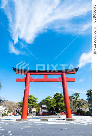 鶴岡八man宮都靈（神奈川縣鎌倉市）截至2020年3月 63900555