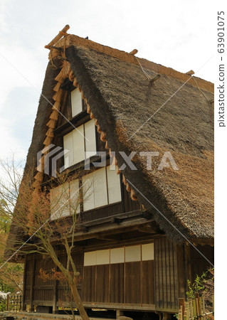 合掌式舊民居茅草屋頂農舍 63901075