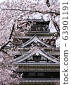 Cherry blossoms in full bloom and Hiroshima Castle 63901191
