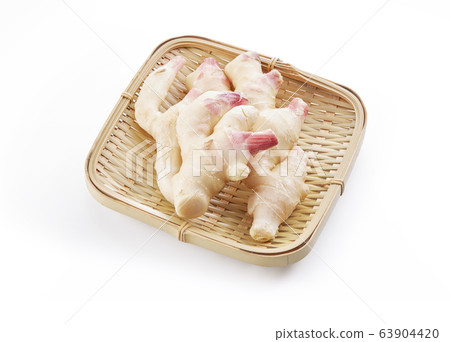 Ginger-Piping (collapse back, shadow) 63904420