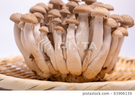 Beech Shimeji 63906139