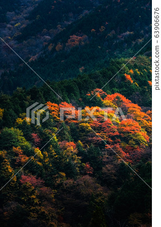 Shine on the mountain of autumn leaves 63906676