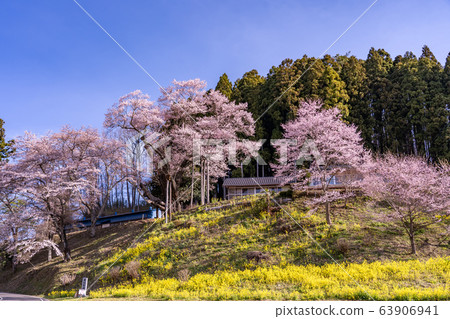 Fukushima Prefecture Nihonmatsu City Sakura at Towa Festival 63906941