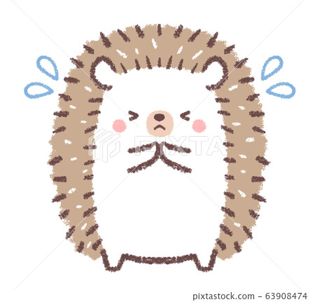 Sorry hedgehog 63908474