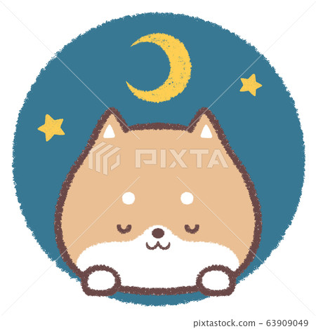 柴犬休息 柴犬休息 63909049