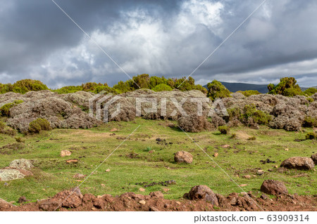 beautiful landscape of Bale Mountain, Ethiopia 63909314