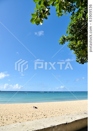 夏威夷的假期 63909536