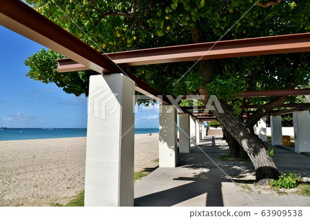 夏威夷的假期 63909538