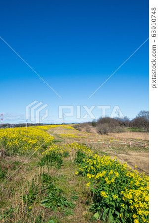 Sa玉縣荒川町風光吉美町 Sa玉縣荒川町風光吉美町 63910748