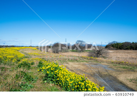 Sa玉縣荒川町風光吉美町 63910749