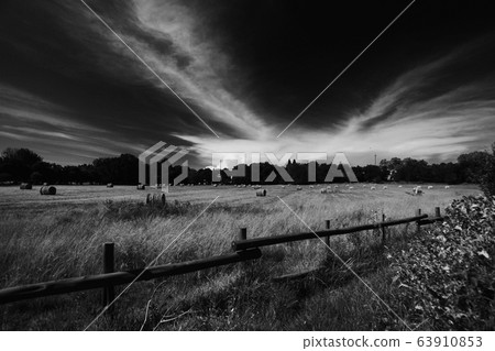 Farm Farm 63910853
