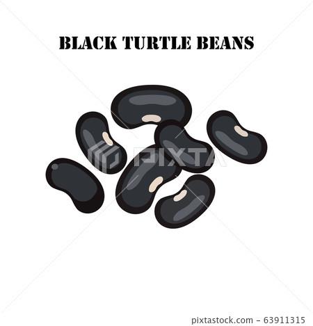 Black turtle beans healthy organic nutrition 63911315