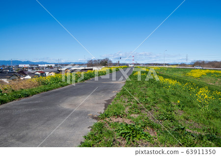 Arakawa bank scenery Yoshimi-cho, Saitama prefecture 63911350
