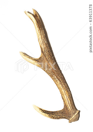 Deer horn 63911378