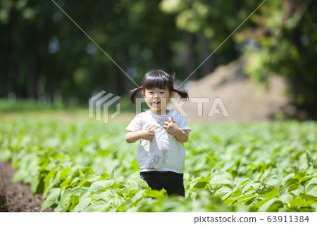 Farmer girl Farmer girl 63911384