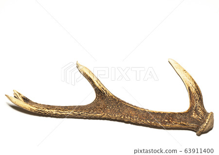 Deer horn 63911400