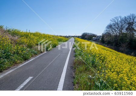 Sa玉縣吉見町荒川堤風景單車道 Sa玉縣吉見町荒川堤風景單車道 63911560
