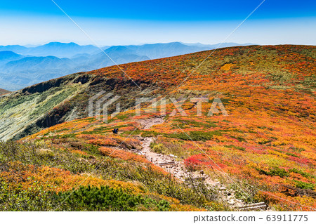Kurikoma秋葉地毯Tengudaira 63911775