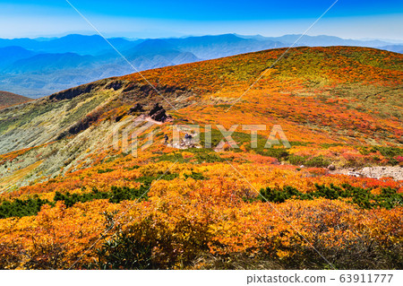 Kurikoma Koyogami Carpet Tenguiwa 63911777