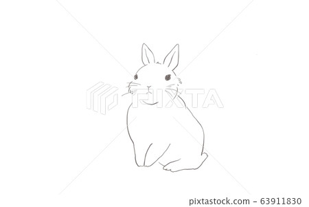 Illustration of a simple rabbit - Stock Illustration [63911830] - PIXTA