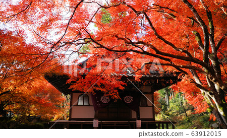 Autumn leaves at Gyokuji Temple in Kanayama-machi, Gero Autumn leaves at Gyokuji Temple in Kanayama-machi, Gero 63912015
