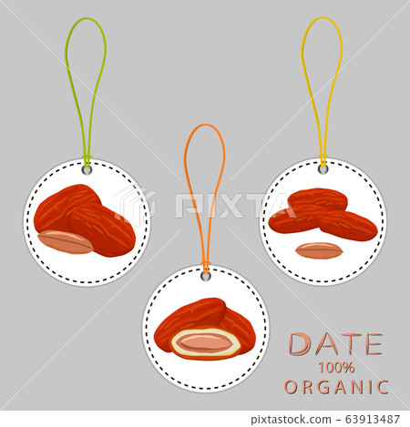 Illustration on theme different types of date Illustration on theme different types of date 63913487