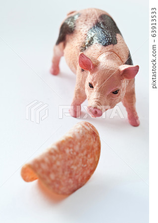 Miniature Pig with a slice of saussage Miniature Pig with a slice of saussage 63913533