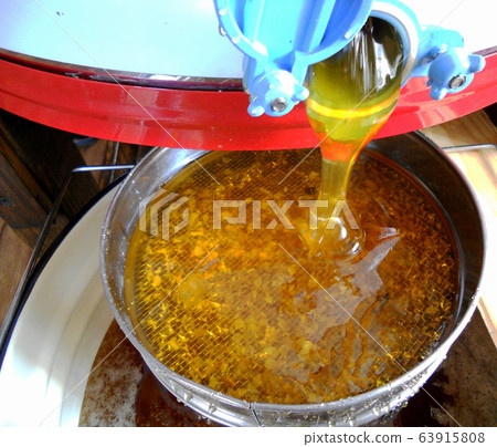 Background texture, dropping drops of sweet honey 63915808