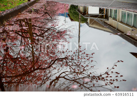 Tsubakiyaku Tsubakiyaku 63916511