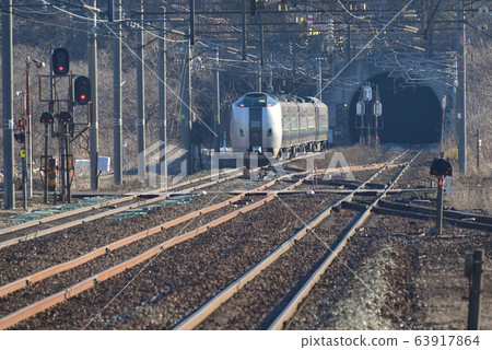 拍攝早春到達北海道登別市JR登別站的山谷百合的風景 63917864