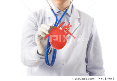 doctor hold heart listens heart, cardiology symptoms in white background	 63918661