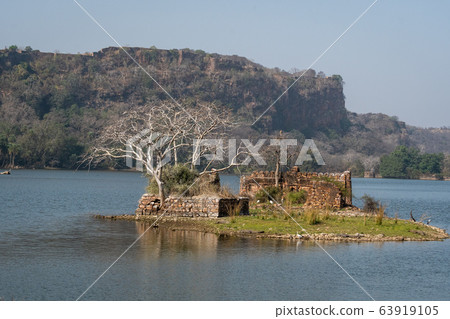 ranthambore monuments and padam lake with landscape of ranthambore national park, rajasthan, india ranthambore monuments and padam lake with landscape of ranthambore national park, rajasthan, india 63919105