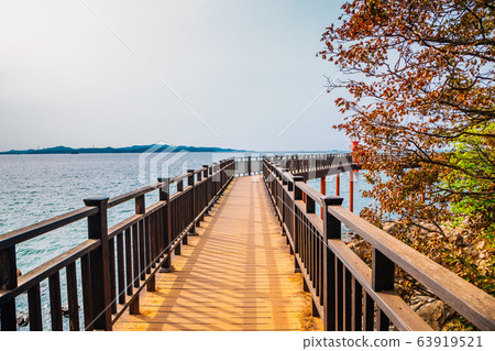 Daebu Haesolgil Gubongdo island, Seaside wooden deck road at autumn in Ansan, Korea Daebu Haesolgil Gubongdo island, Seaside wooden deck road at autumn in Ansan, Korea 63919521