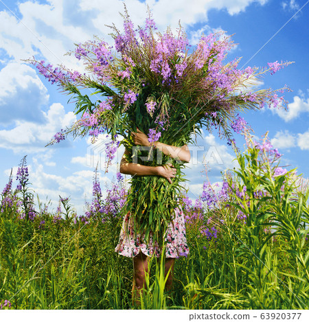 Young beautiful girl picks flowers in the field. Young beautiful girl picks flowers in the field. 63920377