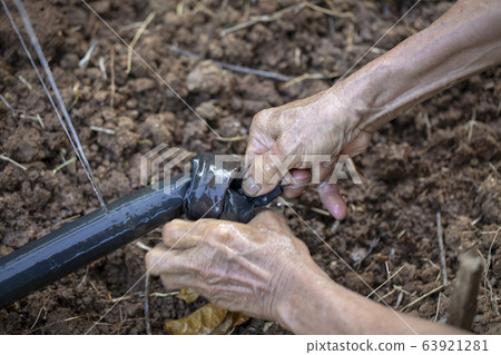 菜園，接水管，農耕，野菜畑、水道管、農業、Vegetable gardens, water pipe 63921281