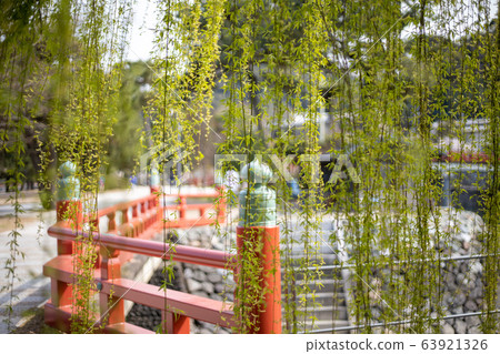 柳樹搖曳的春宇治河 柳樹搖曳的春宇治河 63921326