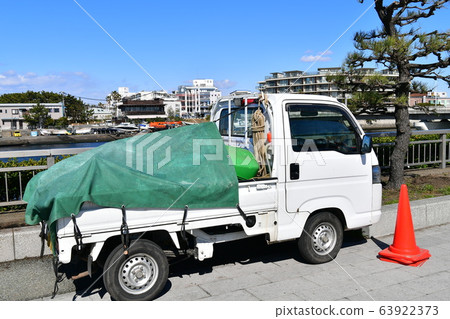 Light tiger 63922373