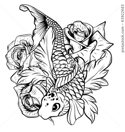 Koi fish drawing Royalty Free Vector Image - VectorStock