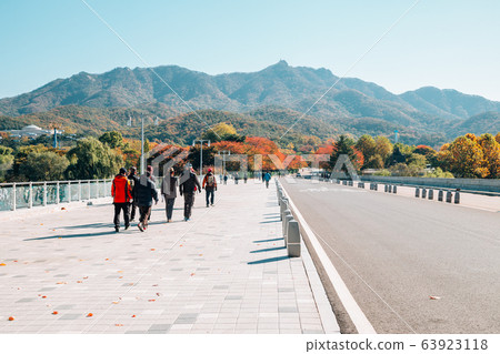 Autumn maple tree street in Seoul grand park, Korea Autumn maple tree street in Seoul grand park, Korea 63923118