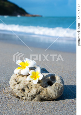 A small stone of an interesting smooth form is A small stone of an interesting smooth form is 63923848