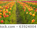 Flower Road 63924004