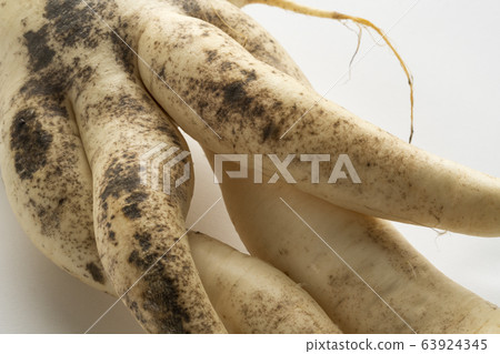 Sexy radish 63924345