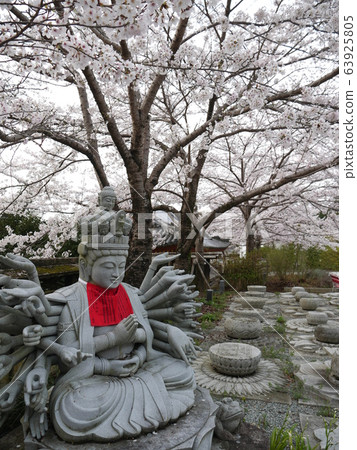 Springful Tsubosakaji Temple 63925805