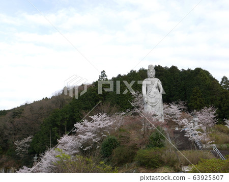 富有彈性的坪坂寺 63925807