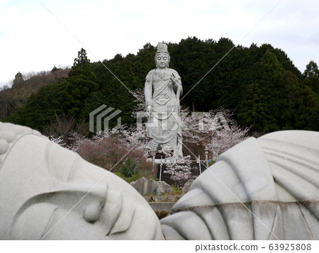 富有彈性的坪坂寺 63925808
