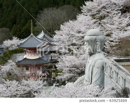 Springful Tsubosakaji Temple Springful Tsubosakaji Temple 63925889