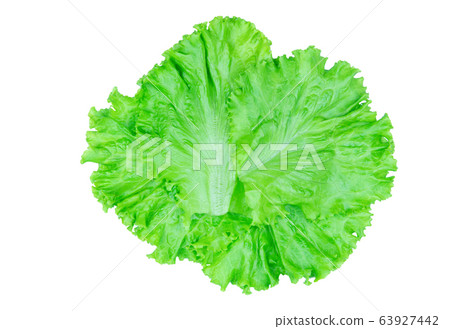 Salad leaf. Lettuce isolated on white background Salad leaf. Lettuce isolated on white background 63927442