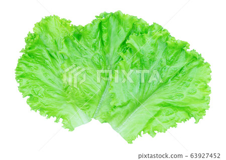 Salad leaf. Lettuce isolated on white background Salad leaf. Lettuce isolated on white background 63927452