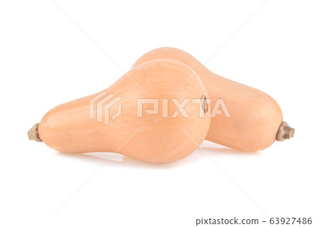 butternut squash isolated on white background. 63927486