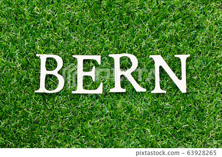 Wood letter in word bern on green grass background 63928265